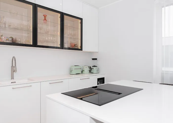 公寓 Modern In The Heart Of Uus-veerenni 塔林