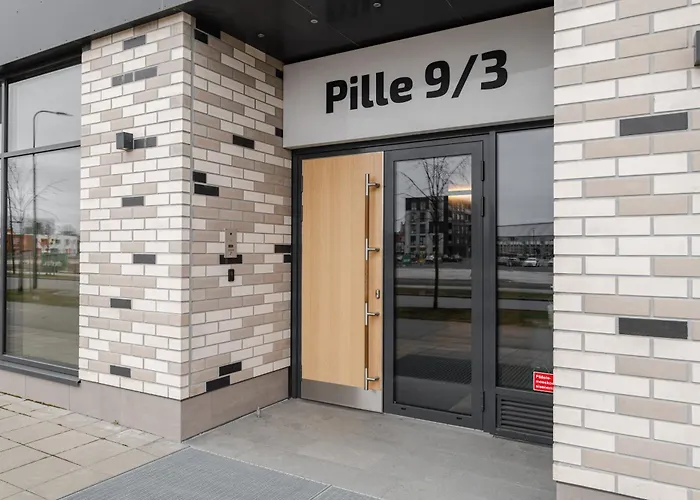 公寓 Modern In The Heart Of Uus-veerenni *